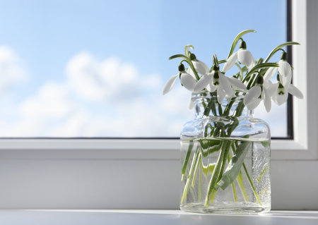 Beautiful snowdrop flowers in glass jar on windowsill, space for textの写真素材