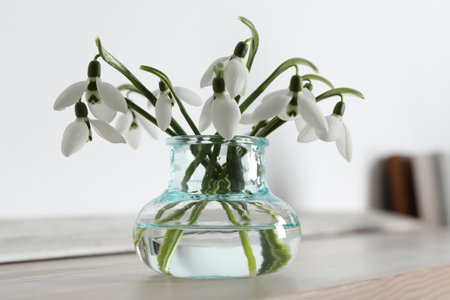 Beautiful snowdrop flowers in glass vase on wooden tableの写真素材