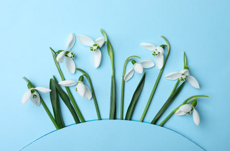 Beautiful snowdrops on turquoise background, flat layの写真素材
