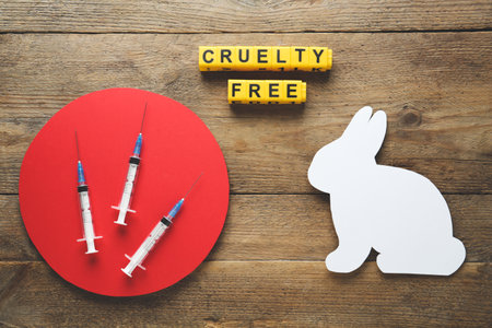 Cubes with text Cruelty Free, syringes and figure of rabbit on wooden table, flat lay. Stop animal testsの写真素材