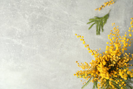 Bouquet of beautiful mimosa flowers on gray tableの写真素材