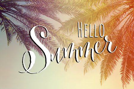 hello summer. Beautiful tropical palm trees outdoors