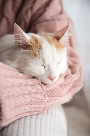Woman with cute fluffy cat on light background, closeupの写真素材