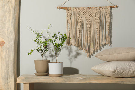 Stylish room interior with young potted pomegranate trees and macrameの写真素材