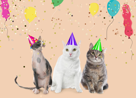 Adorable cats with party hats on gray backgroundの写真素材