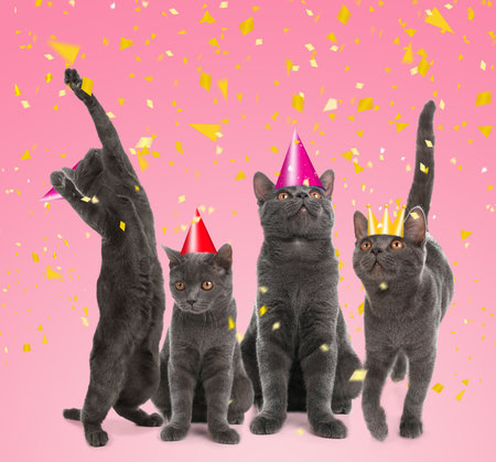 Adorable cats with party hats on pink backgroundの写真素材