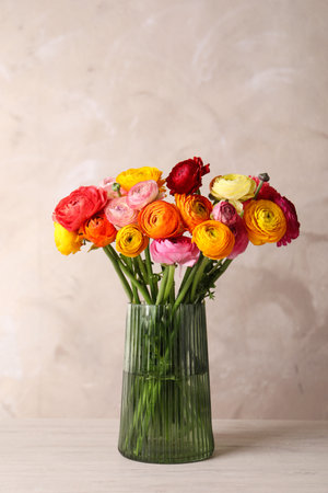 Beautiful fresh ranunculus flowers in vase on white tableの写真素材