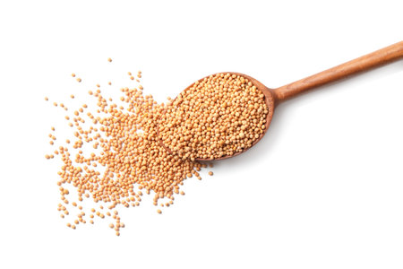 Spoon with mustard seeds on white background, top viewの写真素材