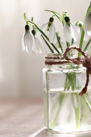 Beautiful snowdrops in glass jar indoors, closeup. First spring flowersの写真素材