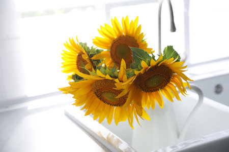 Bouquet of beautiful sunflowers in sink at homeの写真素材