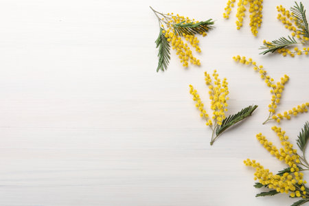 Beautiful mimosa flowers on white wooden table, flat lay. Space for textの写真素材