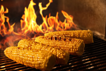 Cooking delicious fresh corn cobs on grilling grate in oven with burning firewood, closeupの写真素材