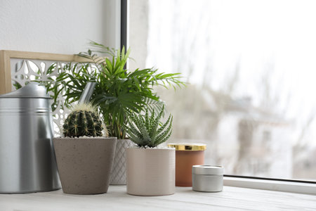 Beautiful Aloe, Cactus, Chamaedorea in pots with watering can and decor on white wooden windowsill. different house plantsの写真素材