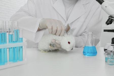 Scientist with rabbit in chemical laboratory, closeup. Animal testingの写真素材