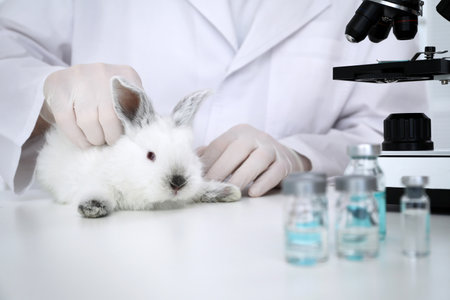 Scientist with rabbit in chemical laboratory, closeup. Animal testingの写真素材
