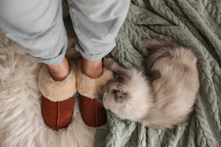 Woman in stylish soft slippers resting with cute cat at home, top viewの写真素材