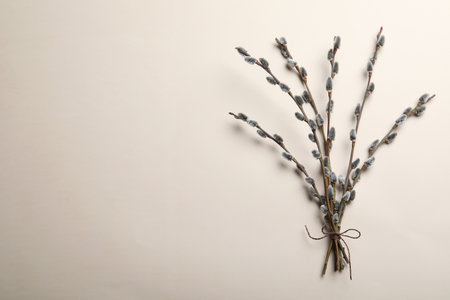 Beautiful bouquet of pussy willow branches, top view. Space for textの写真素材
