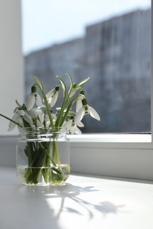 Beautiful snowdrop flowers in glass jar on windowsill, space for textの写真素材