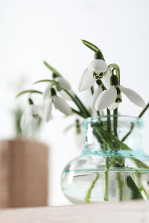Beautiful snowdrop flowers in glass vase on tableの写真素材