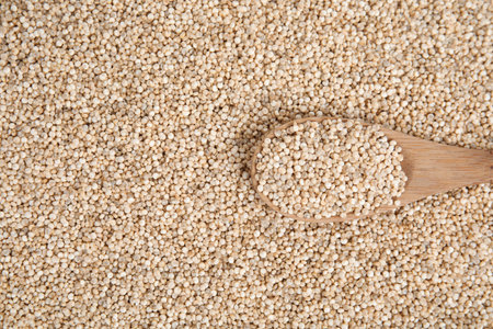 Uncooked white quinoa with wooden spoon, top viewの写真素材