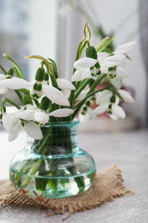 Beautiful snowdrops in vase on light gray table near windowの写真素材