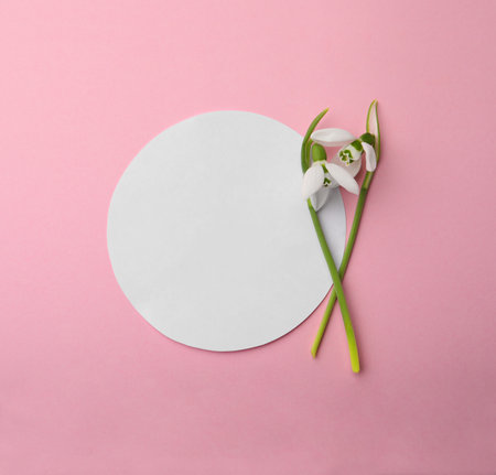 Beautiful snowdrops and paper card on pink background, flat lay. Space for textの写真素材