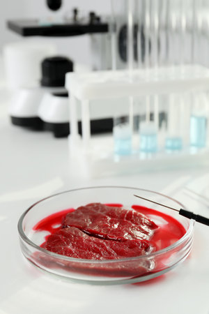 Petri dish with pieces of raw cultured meat on white table in laboratory, space for textの写真素材