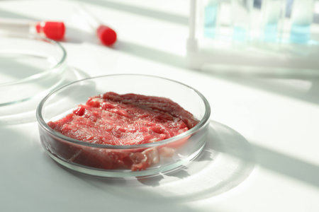 Petri dish with pieces of raw cultured meat on white table in laboratory, closeupの写真素材
