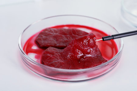 Petri dish with pieces of raw cultured meat and dissecting needle on white table, closeupの写真素材