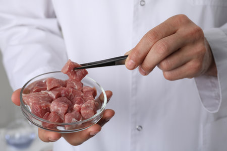 Scientist taking raw cultured meat out of Petri dish with tweezers in laboratory, closeupの写真素材