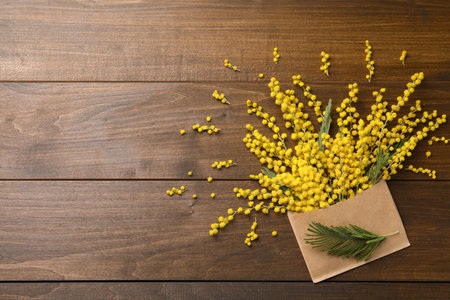 Beautiful mimosa flowers and envelope on wooden table, flat lay. Space for textの写真素材
