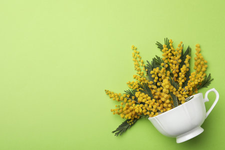 Beautiful floral composition with mimosa flowers and cup on green background, top view. Space for textの写真素材