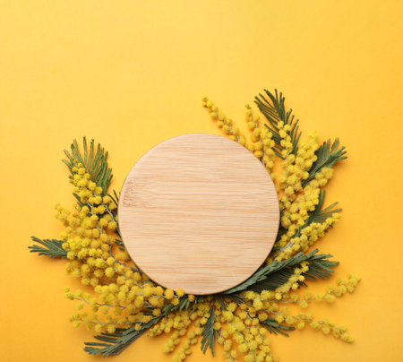 Beautiful floral composition with mimosa flowers on yellow background, flat lay. Space for textの写真素材