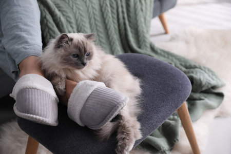 Woman in stylish soft slippers resting with cute cat at home, closeupの写真素材