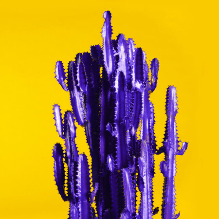 Violet cactus on yellow background. creative designの写真素材