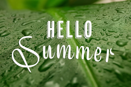 Hello Summer. Fresh green banana leaf with water drops as background, closeupの写真素材