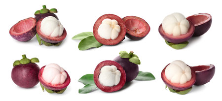 Set with delicious mangosteen fruits on white background. Banner designの写真素材