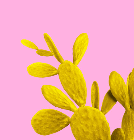 Yellow cactus on pink background. creative designの写真素材