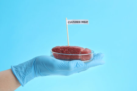 Scientist holding Petri dish with lab grown beef labeled Cultured Meat on light blue background, closeupの写真素材