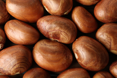 Many raw jackfruit seeds as background, closeupの写真素材