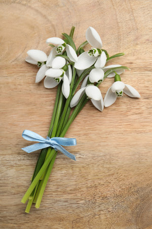 Beautiful snowdrops on wooden table, top viewの写真素材