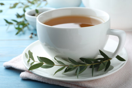 Cup of aromatic eucalyptus tea on light blue wooden table, closeupの写真素材