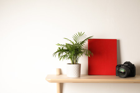 Book, potted plant and professional camera on wooden shelf indoors, space for textの写真素材
