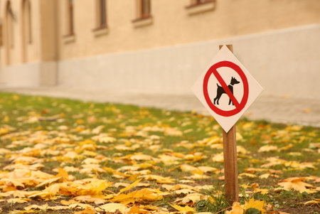 No dogs allowed sign in park on sunny autumn dayの写真素材