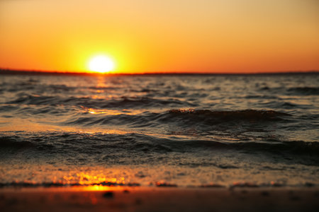 Picturesque view of beautiful seaside at sunset