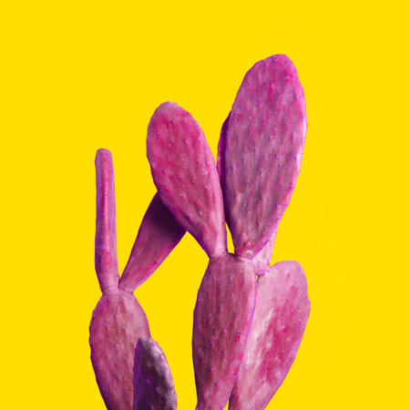 Pink cactus on yellow background. creative designの写真素材