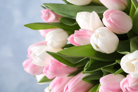 Big bouquet of beautiful tulips, closeup viewの写真素材