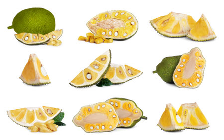 Set with delicious exotic jackfruits on white background