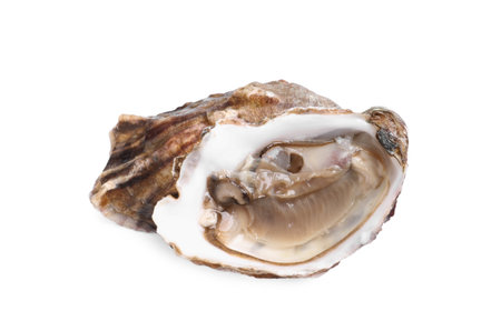 Fresh raw open oyster on white backgroundの写真素材