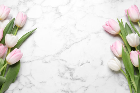 Beautiful tulips on white marble table, flat lay. Space for textの写真素材